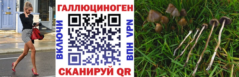 Галлюциногенные грибы мицелий  Челябинск 